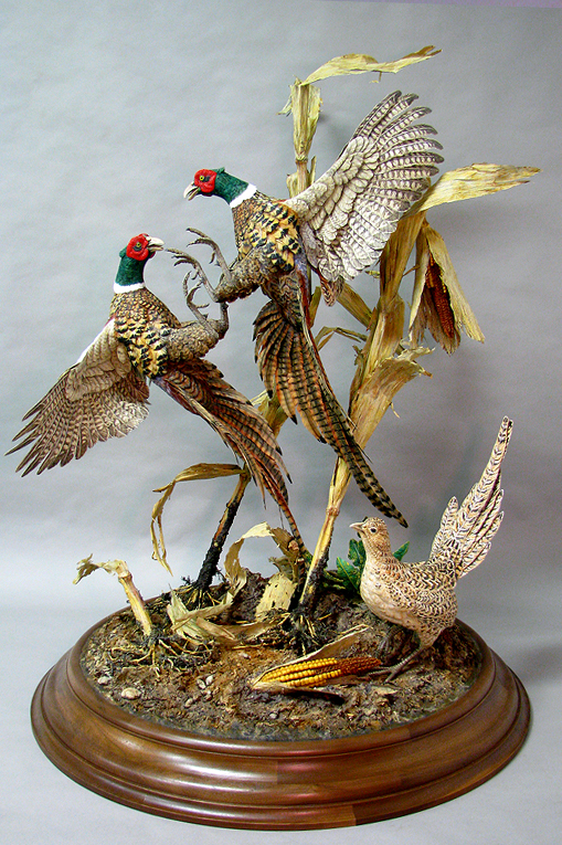 Prize Fight